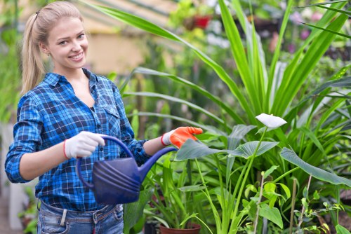 A young woman with long blonde hair, dressed in a blue checkered shirt and wearing gardening gloves, is standing in a lush garden with a variety of green plants, including tall grass-like foliage and flowering plants. She is smiling while holding a blue watering can, watering the plants in a well-maintained outdoor garden area. The background features potted plants and natural sunlight illuminating the scene, highlighting the vibrant green tones of the foliage and the healthy appearance of the garden. The setting suggests a professionally maintained outdoor space associated with gardening and landscaping services in Marylebone, offering a natural and inviting environment for outdoor planting and lawn care.