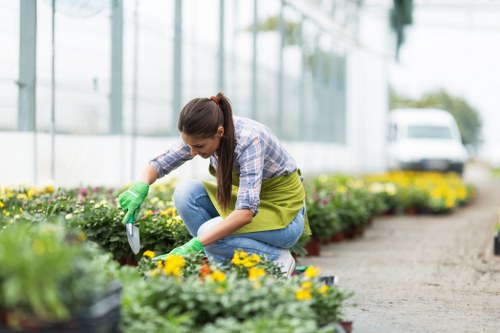 A woman dressed in casual clothes, including a checked shirt, jeans, and green gardening gloves, is crouched down in a well-maintained garden. She is tending to flower beds filled with vibrant yellow and purple blooms, carefully planting or removing bedding plants. The garden features a paved pathway running alongside the flower beds, with neatly trimmed shrub borders and lush green grass areas visible at the edges. In the background, there are tall glass structures indicating a greenhouse or conservatory, with trees and a parked white vehicle nearby under an overcast sky. The scene reflects a typical outdoor environment suitable for gardening and landscaping services in Marylebone, with the woman actively engaged in garden maintenance or planting work, highlighting attention to detail and outdoor care.