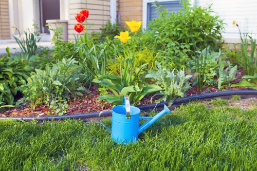 Professional hedge trimming tools and techniques