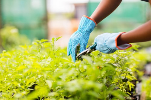 Professional landscaper working on outdoor garden