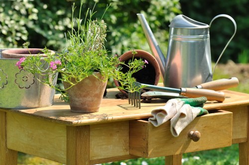 Professional garden clearance services in Marylebone