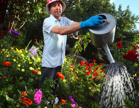 A gardener in a light blue shirt, wearing a red hat and blue gloves, is watering a vibrant garden bed with a black watering can, surrounded by a variety of colorful flowers including reds, yellows, pinks, and purples. The garden features lush greenery with dense foliage, a neatly maintained lawn, and a paved pathway visible in the background. Tall trees cast dappled shade over the scene, indicating a clear, sunny day. The outdoor space appears well-tended, with healthy, blooming plants, partially shaded by the trees. The scene conveys active outdoor maintenance typical of professional gardening services available in Marylebone, with natural tones of green, red, yellow, and purple complemented by the bright sunlight. This setting exemplifies the types of landscaped gardens that Landscapers Marylebone might service, focusing on floral displays, lawn care, and overall garden upkeep in a suburban or city-centre residential environment.