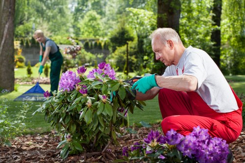 Finished outdoor landscape showcasing professional landscaping