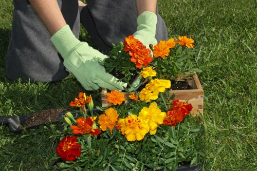 Landscaping complaint process overview