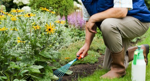 Seasonal garden care activities in Marylebone