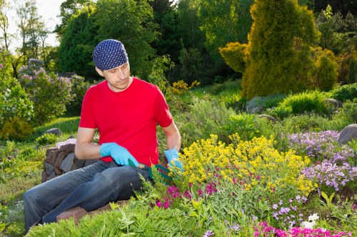 A man wearing a red T-shirt, blue polka-dot beanie, and light blue gardening gloves is sitting on a low stone wall in a lush garden, carefully tending to a variety of flowering plants and shrubs. The garden features a well-maintained lawn with dense, green grass and a vibrant mix of yellow, purple, and pink flowers. Tall trees and dense foliage create a natural backdrop, indicating an outdoor space designed for relaxation and aesthetic appeal. The scene is illuminated by natural sunlight, suggesting a clear day suitable for outdoor gardening activities along the outskirts of Marylebone, with a focus on landscaping and garden maintenance typical of professional gardening services in the area.