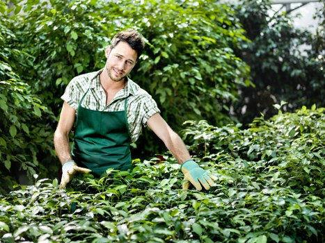 Winter garden maintenance in Marylebone