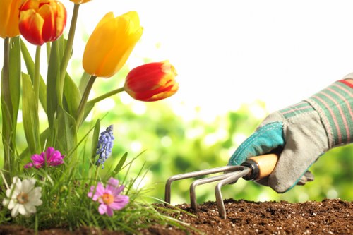 Eco-friendly lawn mowing practices in Marylebone garden