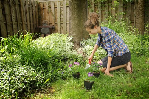 A young woman with brown hair tied in a bun, wearing a blue and white checkered shirt and black jeans, is kneeling on a green lawn in a garden in Marylebone during daylight under cloudy weather. She is planting or tending to small flowering plants in black plastic pots arranged in a semi-circle on the grass. The garden features a variety of lush, green foliage, including tall grass, shrubs, and leafy plants around her. In the background, there are mature trees with thick trunks and a wooden fence that encloses the outdoor space. A patinaed metal garden ornament or small barbecue remains visible among the plants, contributing to the outdoor setting. The natural environment shows a mix of textures with moist soil, vibrant plant colours, and a well-maintained lawn, illustrating a typical suburban garden cared for by professional landscaping services like Landscapers Marylebone. The scene captures a peaceful moment of gardening activity, ideal for outdoor landscaping or lawn care services based in the Marylebone area.