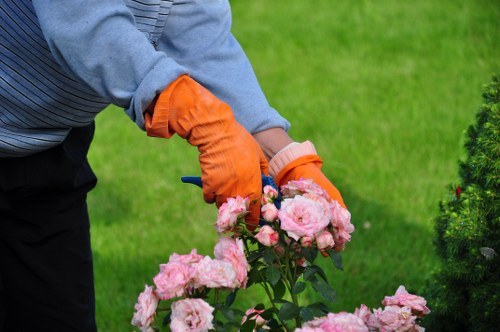 A gardener wearing a blue shirt and bright orange gloves is seen pruning or planting pink rose bushes in a well-maintained garden with lush green grass in the background. The garden features a mix of floral shrubbery, including the prominent roses in full bloom, alongside neatly trimmed bushes and a healthy lawn area. The scene suggests a professional gardening or landscaping service, possibly by Landscapers Marylebone, with natural daylight and clear weather, highlighting the outdoor environment of a residential or commercial garden space in Marylebone or nearby in London. The arrangement showcases a landscaped outdoor area designed for aesthetic appeal and garden maintenance, emphasizing the care of flowering plants and shrub borders typical of local gardening expertise.