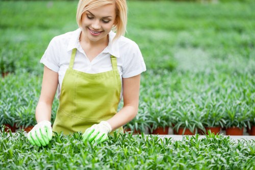 A young woman with short blonde hair, dressed in a white shirt and a bright green gardening apron, is working in a lush nursery or garden center. She is wearing matching green gloves and appears to be inspecting or tending to small potted plants arranged in neat rows. The background features a well-maintained outdoor garden space with vibrant green grass and additional potted plants, suggesting a professional gardening or planting service environment in Marylebone. The scene is lit with natural daylight, indicating clear weather, and the overall setting emphasizes careful plant handling and gardening expertise, relevant to landscaping and outdoor maintenance services in the local area.