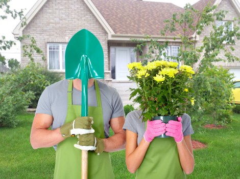 A gardener and a person holding a large potted plant are standing on a well-maintained front lawn in a residential garden. The gardener, wearing a grey t-shirt, green apron, matching gloves, and a teal gardening hat, holds a garden spade upright. The other person, dressed in a grey t-shirt and pink gloves, partially obscures their face with a large pot of yellow-flowering chrysanthemums, which they are presenting as part of garden planting. Behind them, the area features a neatly trimmed green lawn, shrubbery, and a small landscaped garden bed with dark mulch and young plants, bordered by a row of small bushes. In the background, there is a beige brick house with white-framed windows and a pitched roof, indicating a typical Marylebone residential setting. The scene suggests outdoor gardening activities suitable for professional gardening services or landscaping projects in the local area. The lighting appears natural, possibly on a cloudy or partly sunny day, emphasizing the vibrant plant colours and lush greenery typical of a well-maintained UK garden.