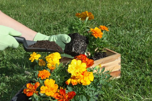 In a well-maintained garden environment with a lush green lawn, a person wearing light green gloves is planting a small flowering shrub into a wooden planter box positioned on the grass. The shrub features vibrant orange, red, and yellow blooms, adding colour to the outdoor space. The soil being filled around the plant appears rich and dark, indicating healthy growth conditions. In the background, sections of the lawn extend with dense grass, and the scene suggests a recent or ongoing gardening activity typical of landscaping practices in Marylebone. The lighting is natural and bright, supporting outdoor gardening work commonly undertaken by professional landscapers such as Landscapers Marylebone. This scene captures the essential elements of planting and garden maintenance, emphasizing attention to detail and the use of quality materials aligned with local landscaping services.
