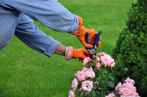 Gardener pruning plants in a Marylebone garden