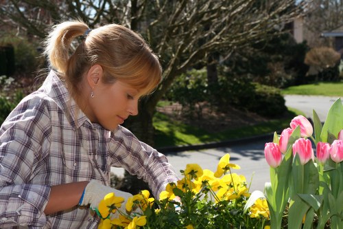 A woman with blonde hair tied back in a ponytail is engaged in gardening in a residential outdoor space, surrounded by a variety of plants and flowers. She is wearing a plaid shirt, gloves, and appears focused on tending to a flower bed that includes vibrant yellow and pink blooms, with some tulips in the foreground. The garden features a well-maintained lawn, with green grass and a border of shrubs and small trees, suggesting a neat and thoughtfully landscaped front or back garden typical of properties in Marylebone. In the background, there are paved pathways and a quiet street, with soft sunlight illuminating the scene, indicating clear weather and daytime conditions. This image reflects professional gardening practices, such as flower planting and garden maintenance, aligned with services offered by companies like Landscapers Marylebone for enhancing outdoor spaces in London.