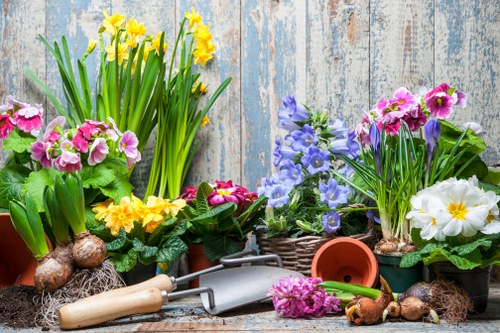 A collection of potted flowering plants arranged on a weathered wooden surface, featuring yellow daffodils with long green leaves, pink primroses, purple and blue hyacinths, and white primroses, interspersed with garden tools including a small trowel, a cultivator, and gardening gloves. The background consists of a rustic, textured wooden panel, suggesting an outdoor or garden shed setting in Marylebone, with natural daylight illuminating the scene. The arrangement reflects a well-maintained garden environment suitable for gardening and landscaping services offered by Landscapers Marylebone, emphasizing vibrant colours, healthy foliage, and garden cultivation tools, all in natural tones typical of a spring or early summer outdoor garden in London.