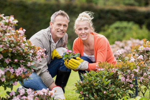 Professional lawn mowing service maintaining green grass